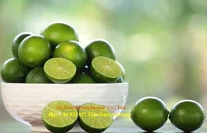 Fresh Lemon Fruits/Limes Fruits/Orange Fruits by MsBach0084935027124