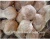 Import fresh mature coconuts from Thailand from Thailand