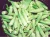 Import Fresh Okra Lady Finger /Fresh Green Okra/Okro For Sale from Philippines