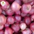 Import Fresh Onion Bulk Fresh Red  Onion Indian Vegetable from India