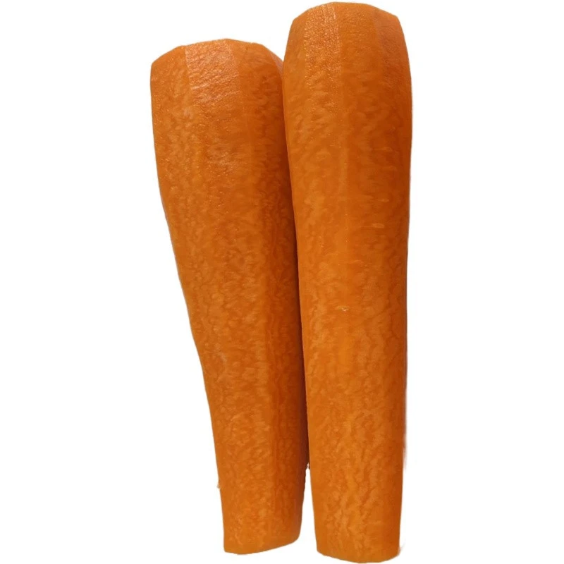 Fresh Peeled Carrots for sale Shandong 2020 newest crop carrot