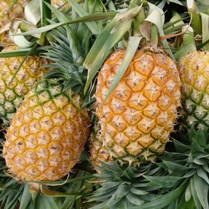 Fresh Pineapple From Thailand