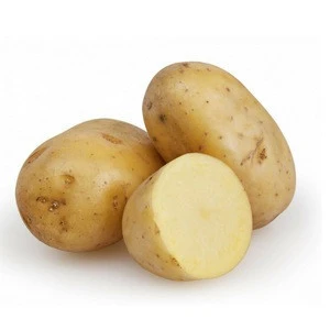 Fresh Potatoes Good Price New Crop
