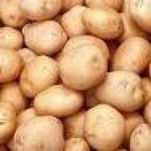 Fresh White Potato from Pakistan