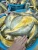 Import Frozen Dry Fish Yellow Croaker Dried Salted Seafood For Fish Buyers 280g from China