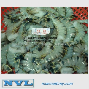 FROZEN VANNAMEI SHRIMP WITH HIGH QUALITY &amp; THE BEST PRICE