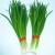 Import Frozen Vegetables IQF Foods Frozen Chinese chives from China