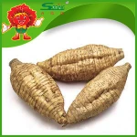Frozen vegetables supplier cheap price for best Chinese fresh kudzu