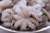 Import Frozen Whole Cleaned Baby Octopus Good Price from Viet Nam from China