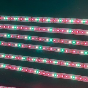 Full Spectrum Red and Blue Plant for plant for fruit for vegetable  Lamp  LED Grow Light for Indoor 730nm Plant  led strip