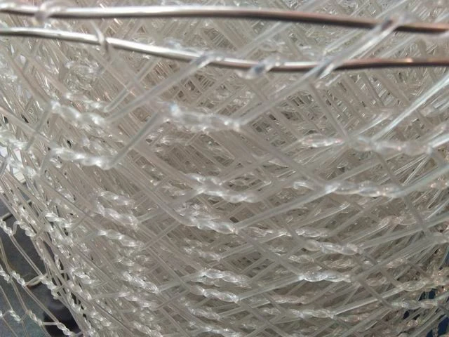 Galvanized hexagonal wire netting hexagonal wire mesh/ Chicken wire mesh