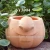 Import Garden decoration terracotta pot wholesale supplies from China