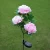 Import garden decorative 3 heads rose outdoor led solar flower light solar lawn light from China