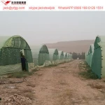 gi steel pipe build agricultural greenhouse