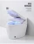 Import Good Quality Healthy And Clean Floor Mounted Household Thermostatic Seat Smart Toilet Bidet Washing And Drying Toilet Commode from China