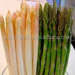 Green high quality canned asparagus fresh vegetable