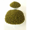 Green mung bean HPS