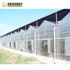 GREENDAY Agricultural/commercial Multi-span Polycarbonate Greenhouse