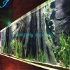 Haijing Acrylic Indian Aquarium Fishes
