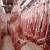 Import HALAL Frozen Boneless Beef / HALAL Buffalo Meat / Mutton from Netherlands