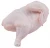 Import Halal Frozen Chicken Feet / Frozen Chicken Paws /Chicken Wings from USA