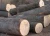 Import Hard Wood Timber, Lumber and Logs from Philippines
