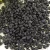 Import healthy high quality black kidney beans from South Africa