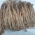 Import High Quality cutting Jute pics from Bangladesh