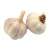 Import High Quality Fresh Garlic From China With Lower Price from China