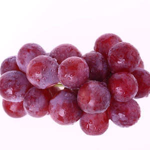 High Quality Fresh Seedless Green Grapes