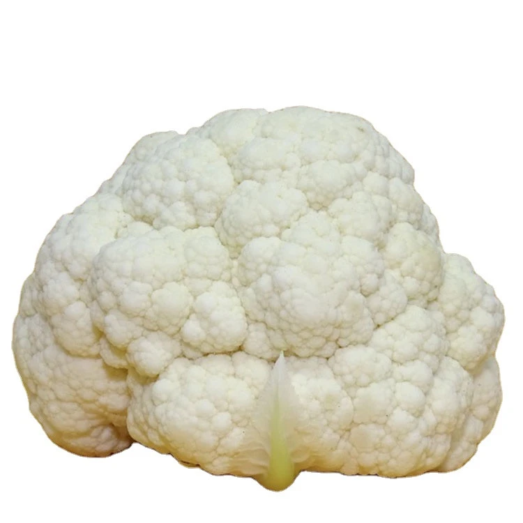 High Quality Fresh Vegetatables Green leaf Vegetatables  White Cauliflower