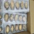 Import High Quality frozen Gutting abalone with shelled from China