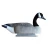 Import High quality HDPE plastic goose floater decoys from China