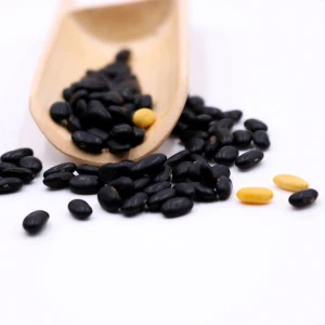 High Quality Kidney Vanilla Black Beans With Yellow Core
