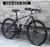 Import High quality wholesale 21 speed customized cheap adult mountain bike bicycle from China