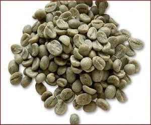 highest grade Arabica Green Coffee Beans