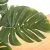 Import Highly simulation faux decor tree ornamental artificial monstera plant for indoor use from China