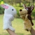 Import Hot Sale Many kinds Animal Hand Puppets Funny Rabbit Plush Glove Puppets from China