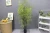 Hot Sale New Style Outdoor Decorative Artificial Lucky Green Bamboo Leaves Plant