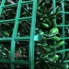 Hot Sale Ornamental Plants Artificial Green Wall Home Decorative Artificial Grass Wall Panels