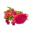 Hot sale Red Dragon Fruit Puree/ Red Dragon Fruit Puree High quality 2020