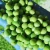 Import Hot Selling IQF frozen green peas from China