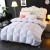 Import Hotel Quality Down Alternative Quilted Comforter Solid Pattern Reversible Duvet Insert Stand-Alone Comforter Quilt from China