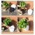 Household garden wall-mounted self watering pot planter
