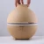 Import Humidifier Air Diffuser Ultrasonic Humidifier Best Service from China