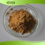 Immunity Enhancing Mushroom phellinus igniarius extract sang-hwang mushroom extract