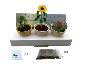Indoor Ornamental Plants As Holiday Gifts Flower Plastic Plant Pots