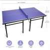 Indoor Plastic Professional Standard Table Tennis Table