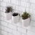 Import Indoor table decor ceramic hanging pot wall succulent artificial plant from China