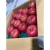 Import Japanese Ourin good taste bulk eating fresh apples whole sale from Japan